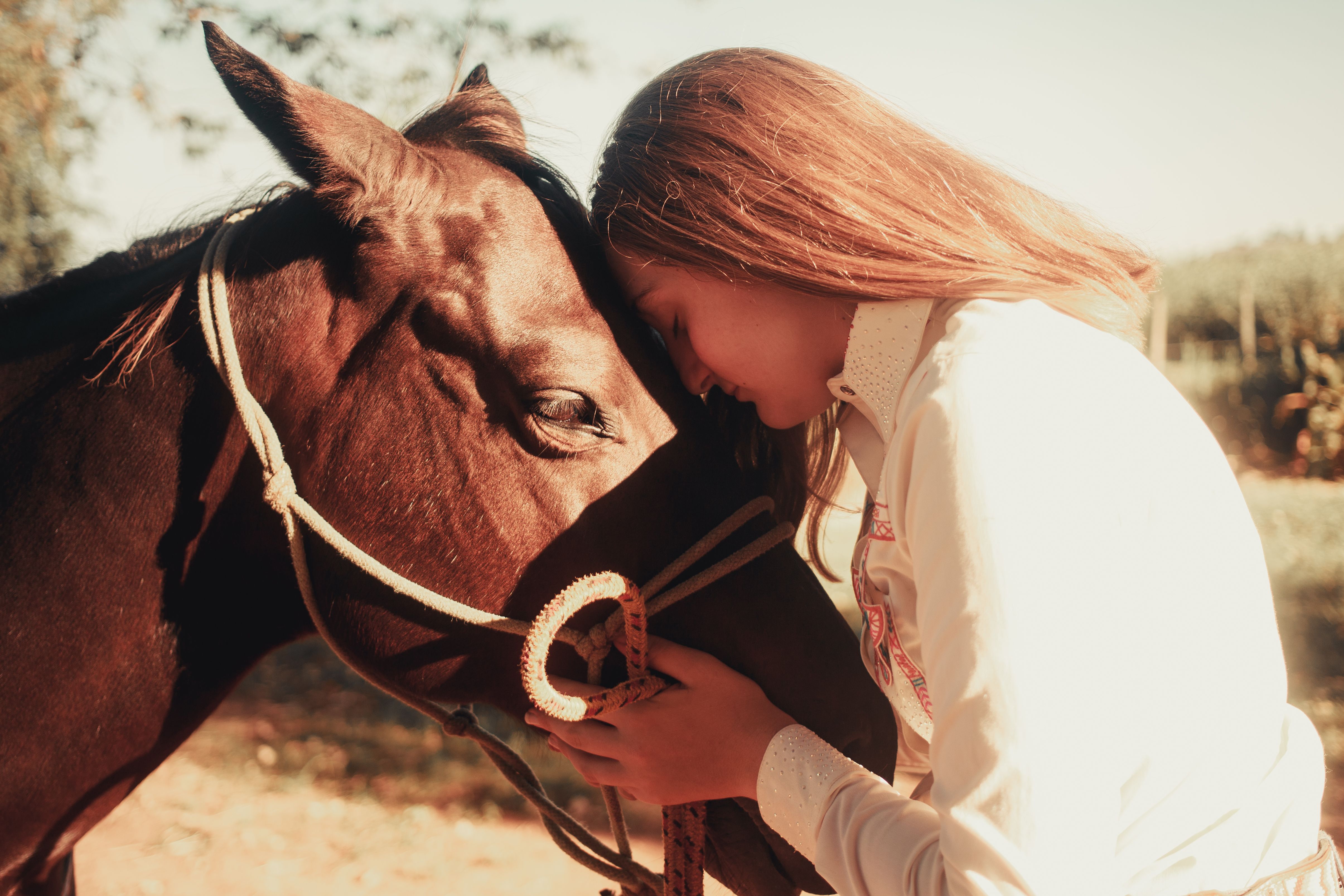 Equinoterapia 2